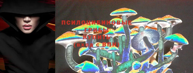 Галлюциногенные грибы Cubensis Белинский